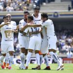Pumas